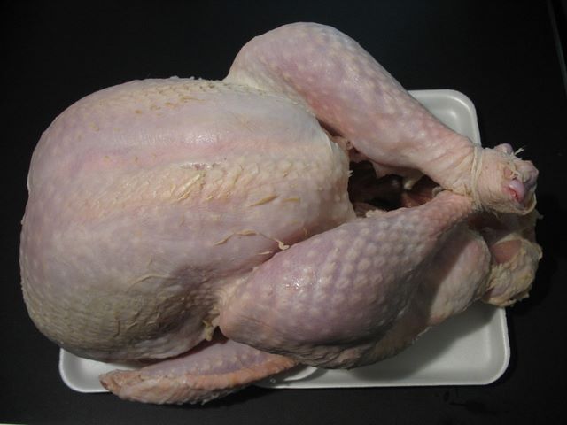 Turkey